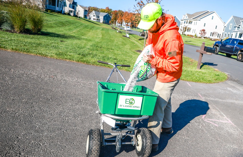 Aeration Lawn Service