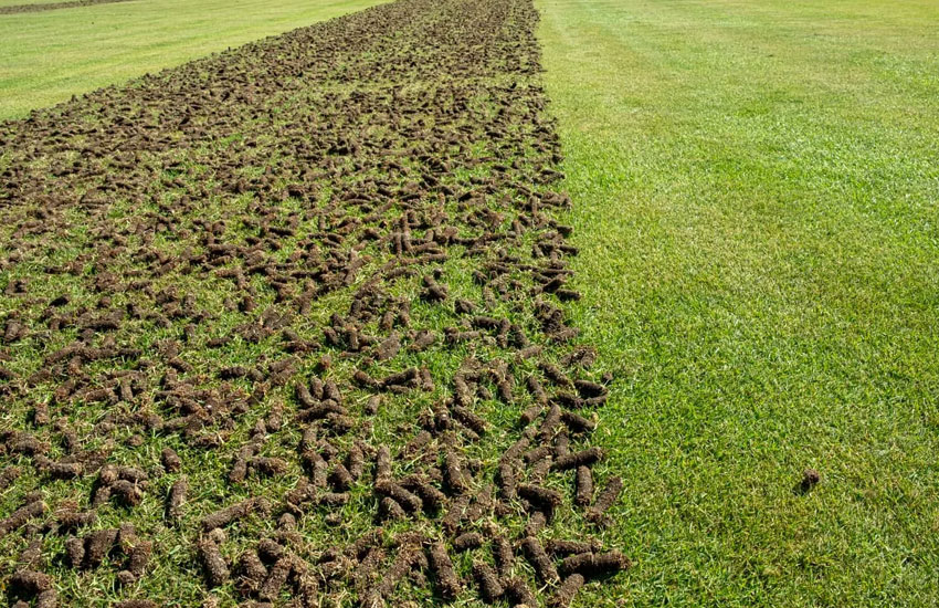 Aeration Lawn Service