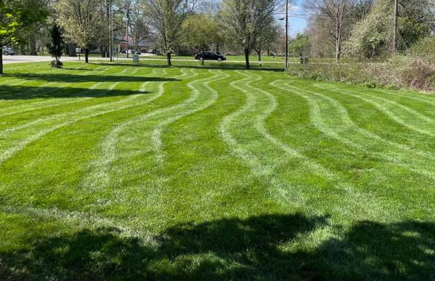 EC-Landscaping-Mowing