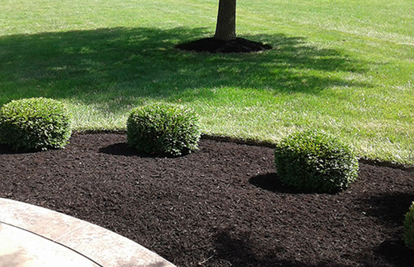 EC-Landscaping-Mulching