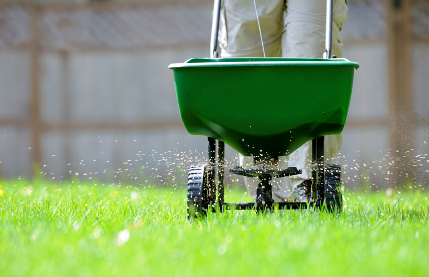 Lawn Fertilization Services Anoka Minnesota