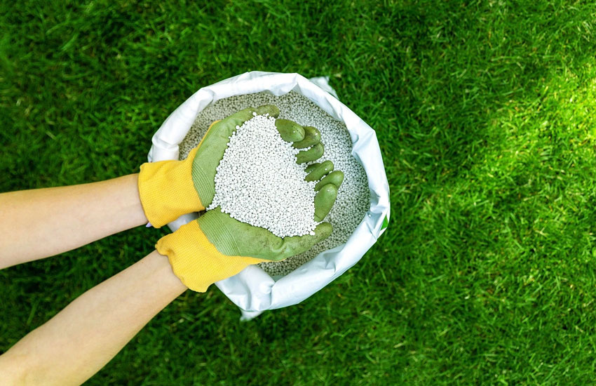 Lawn Fertilization Services Anoka Minnesota