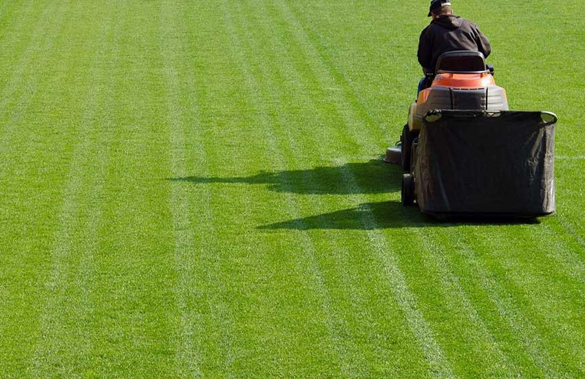 Mowing