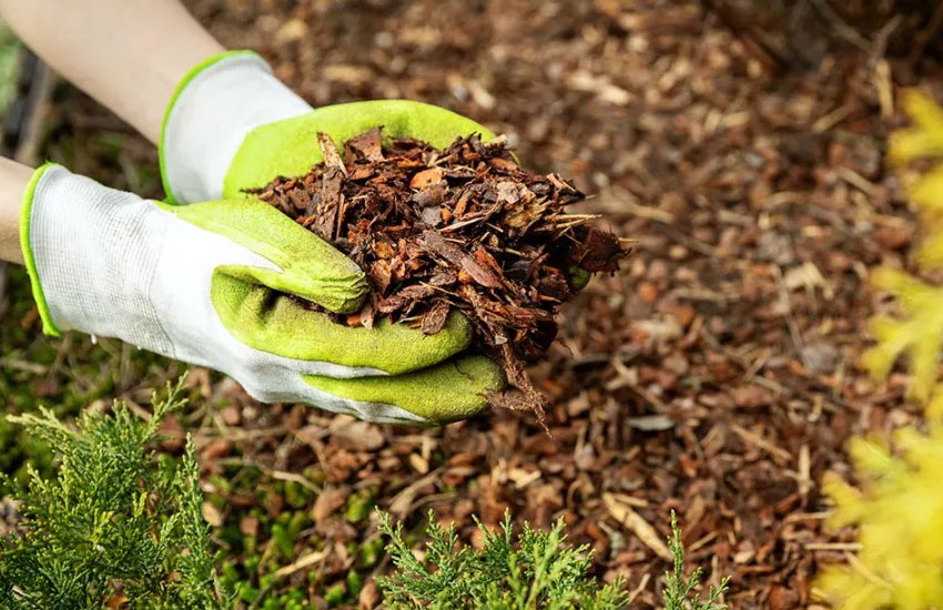 Mulching Services Anoka Minnesota