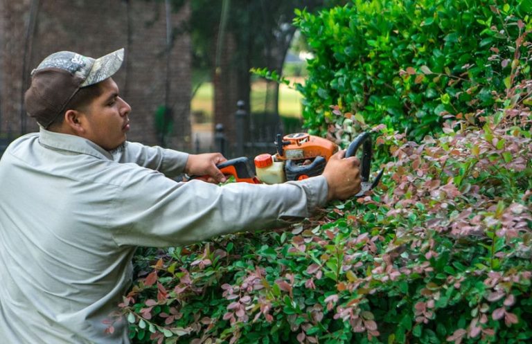 Yard Maintenance