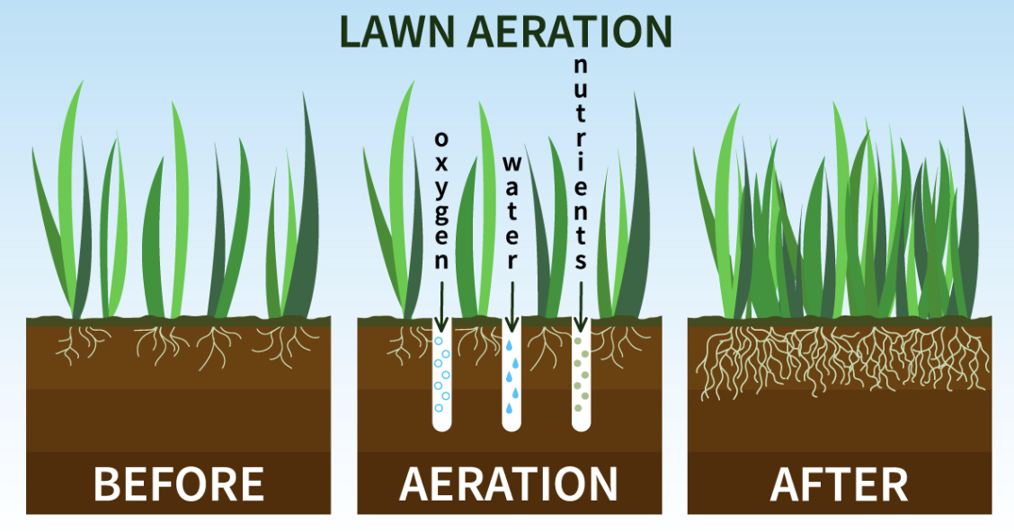 Aeration