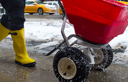 Snow Salting Services